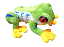 Charger l'image dans la galerie, Grenouille rainette aux yeux rouges