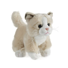 Charger l'image dans la galerie, Petit chat couleur miel