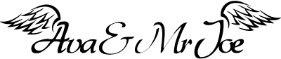 AVA & MR JOE logo