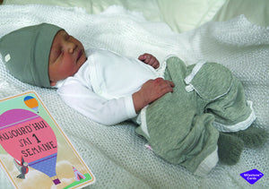 Milestone Baby cards Première année - cartes illustrées